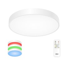 Потолочный светильник Citilux Купер CL72495G0