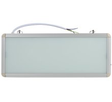 Аварийный светильник Эра SSA-101-0-20 Б0044387