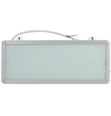 Аварийный светильник Эра SSA-101-0-20 Б0044387
