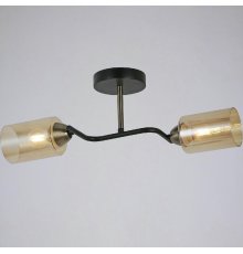 Потолочный светильник Illumico IL8148-2COU-79 BK BR Bice