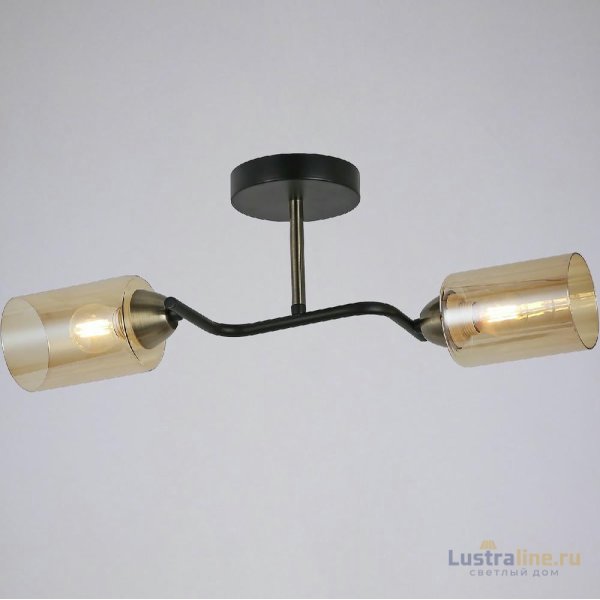 Потолочный светильник Illumico IL8148-2COU-79 BK BR Bice
