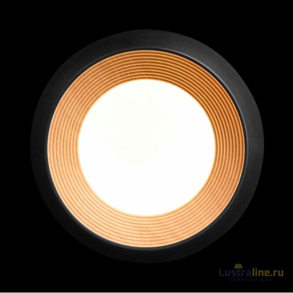 Потолочный светильник Loft IT Folk 10255/350 Black Потолочный светильник Loft IT Folk 10255/350 Black