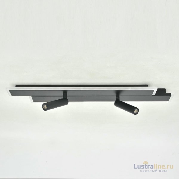 Потолочный светильник Escada 20047led 20047SMA/02LED BK Потолочный светильник Escada 20047led 20047SMA/02LED BK