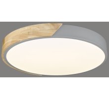 Потолочный светильник Velante 445-227-01 Потолочный светильник Velante 445-227-01