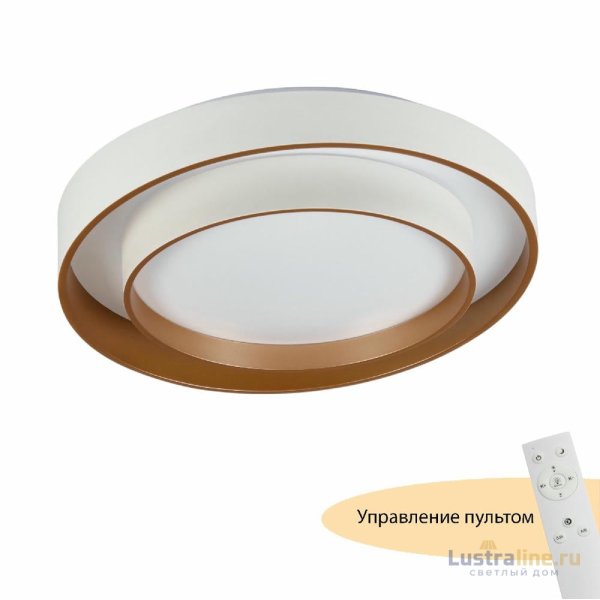 Потолочный светильник Myfar Rhea MR9161-CL