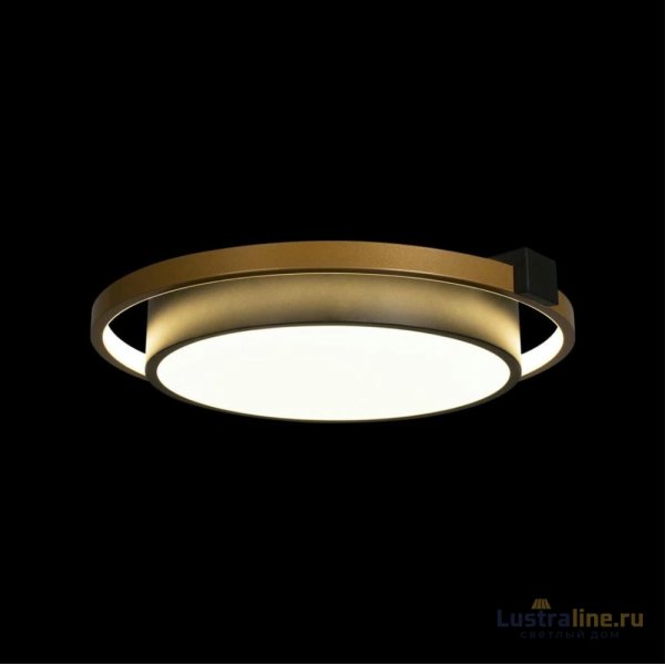 Потолочный светильник Loft IT Mike 10169