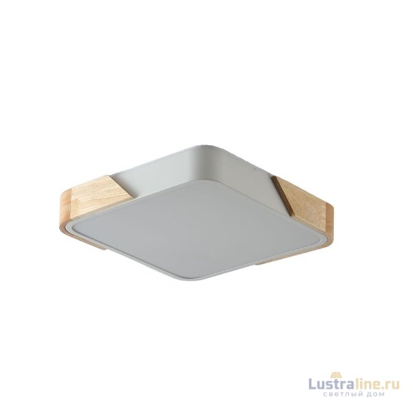 Потолочный светильник Zortes Alberro ZRS.01285.60