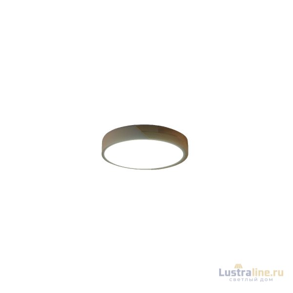 Потолочный светильник Zortes Alberro ZRS.01239.90 Потолочный светильник Zortes Alberro ZRS.01239.90