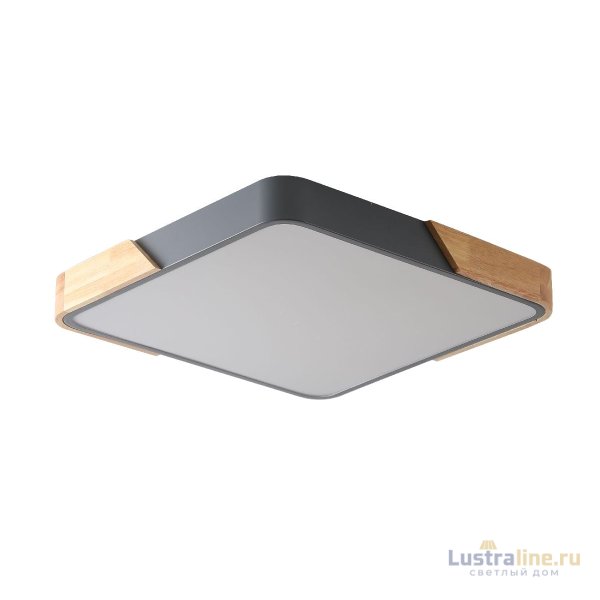 Потолочный светильник Zortes Alberro ZRS.01288.60 Потолочный светильник Zortes Alberro ZRS.01288.60