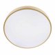 Потолочный светильник Loft IT Flims 10228/A