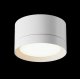 Потолочный светильник Maytoni Technical Hoop C086CL-GX53-SRD-W