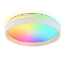 Потолочный светильник Ambrella Light Orbital Dance FZ601
