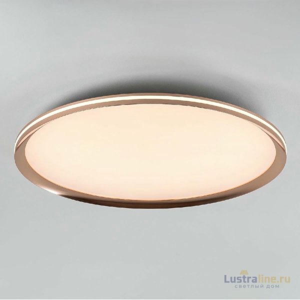 Потолочный светильник LED4U L3020-600 GD Потолочный светильник LED4U L3020-600 GD