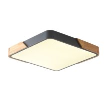 Потолочный светильник Zortes Alberro ZRS.01288.36