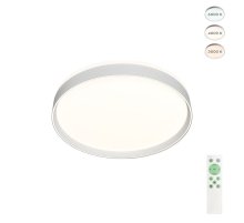 Потолочный светильник Denkirs Plato DK6511-WH