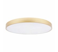 Потолочный светильник Loft IT Flims 10228/B