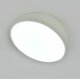 Потолочный светильник Escada 20025SMA/01LED WH