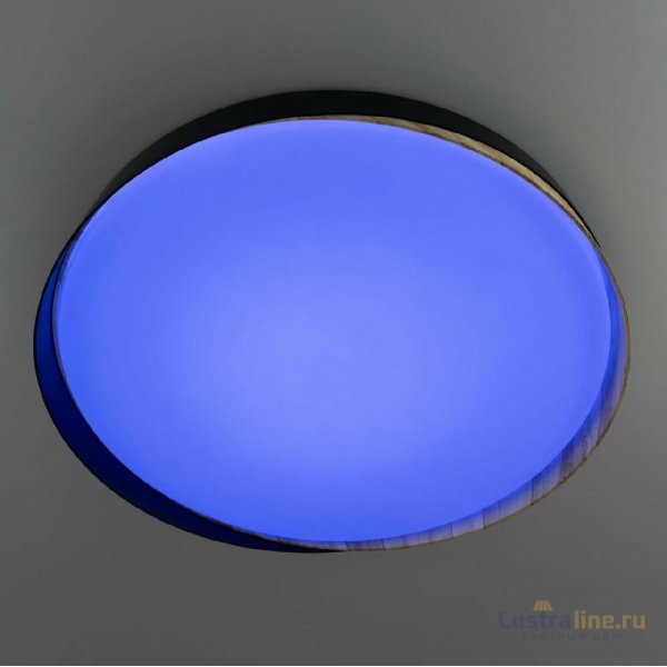 Потолочный светильник Citilux Bonny CL754451G
