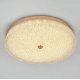 Потолочный светильник LED4U L1116-500 GD