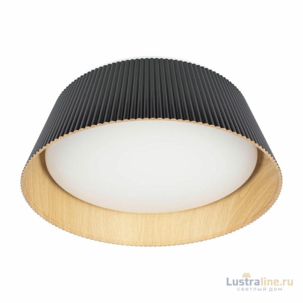 Потолочный светильник Loft IT Evans 10224 Black Потолочный светильник Loft IT Evans 10224 Black