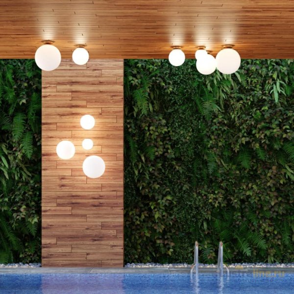 Потолочный светильник Odeon Light 4247/1C Потолочный светильник Odeon Light 4247/1C