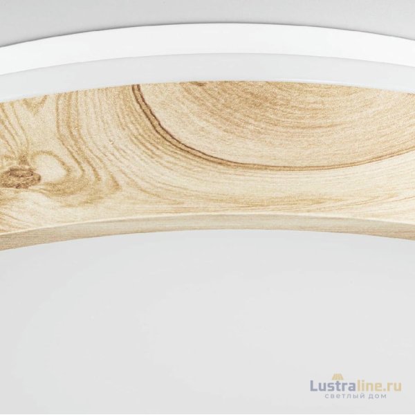 Потолочный светильник Citilux Enzo CL753352G Потолочный светильник Citilux Enzo CL753352G