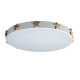 Потолочный светильник Loft IT AXEL 10006/36 White