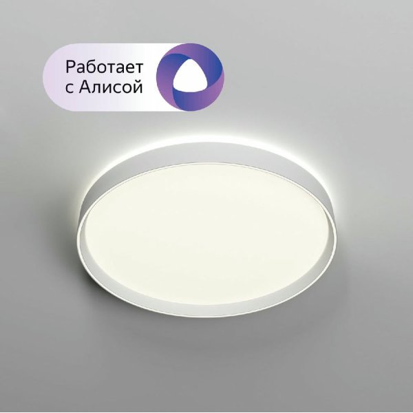 Потолочный светильник Denkirs Plato DK6511-WH/1