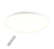 Потолочный светильник Omnilux Berkeley OML-43007-40