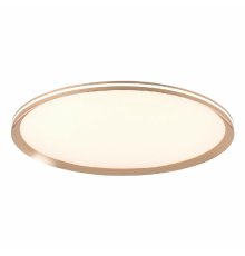Потолочный светильник LED4U L3020-600 GD