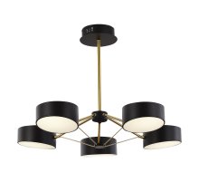 Потолочный светильник Evoluce Valle SLE6005-402-05