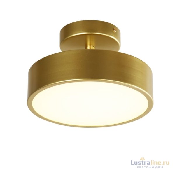 Потолочный светильник F-Promo Atma 3059-2P Потолочный светильник F-Promo Atma 3059-2P