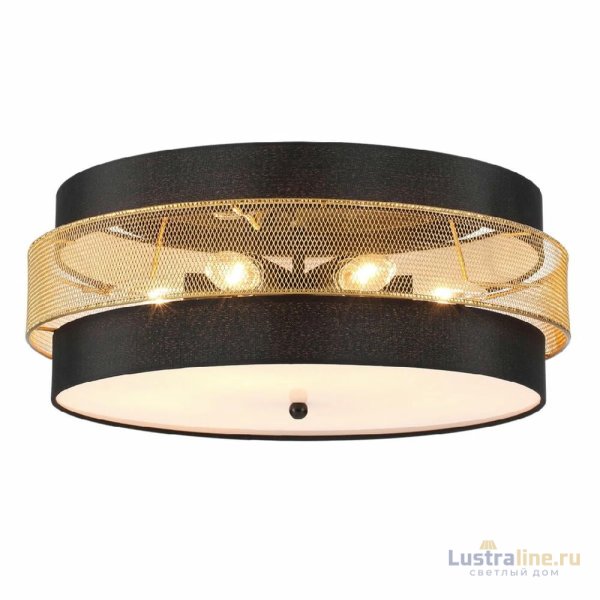 Потолочный светильник Lumion Animaisa 8003/6C