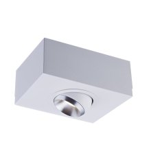 Потолочный светильник Zumaline MAC SL ACGU10-140