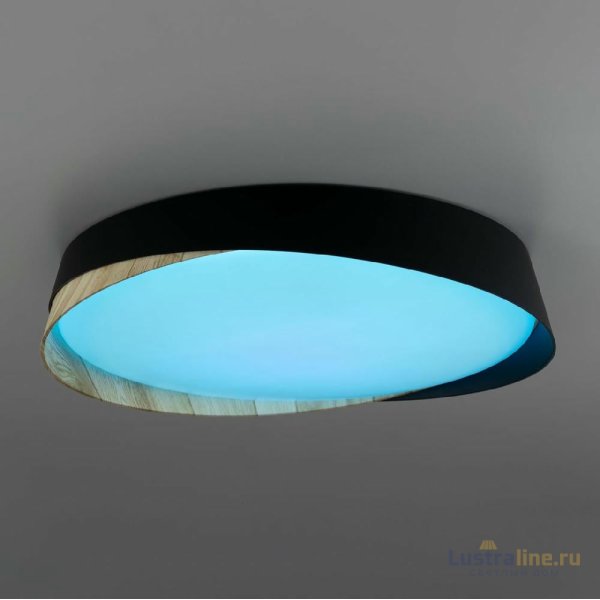 Потолочный светильник Citilux Bonny CL754351G