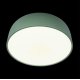 Потолочный светильник Loft IT Axel 10201/480 Green
