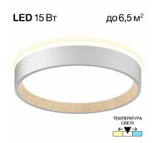 Потолочный светильник Citilux Etalon CL750180