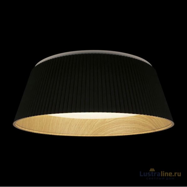 Потолочный светильник Loft IT Evans 10224 Black Потолочный светильник Loft IT Evans 10224 Black