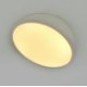 Потолочный светильник Escada 20025SMA/01LED WH