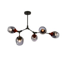 Потолочный светильник EVOLUCE CIOTOLLA SLE113402-05