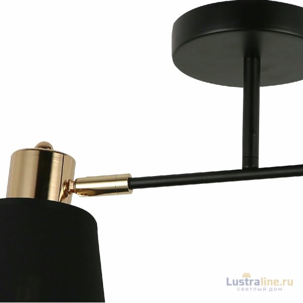 Потолочный светильник Illumico IL6116-2COU-79 BK GD Abelie Потолочный светильник Illumico IL6116-2COU-79 BK GD Abelie