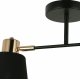 Потолочный светильник Illumico IL6116-2COU-79 BK GD Abelie