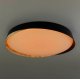 Потолочный светильник Citilux Bonny CL754451G