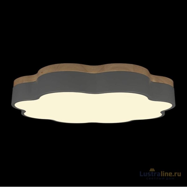 Потолочный светильник Loft IT Axel 10225/36 Grey Потолочный светильник Loft IT Axel 10225/36 Grey