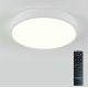 Потолочный светильник Natali Kovaltseva LED LAMPS 81111/5C
