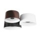 Потолочный светильник Loft IT Duo 10360/3