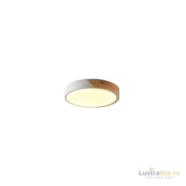 Потолочный светильник Zortes Alberro ZRS.01239.90 Потолочный светильник Zortes Alberro ZRS.01239.90