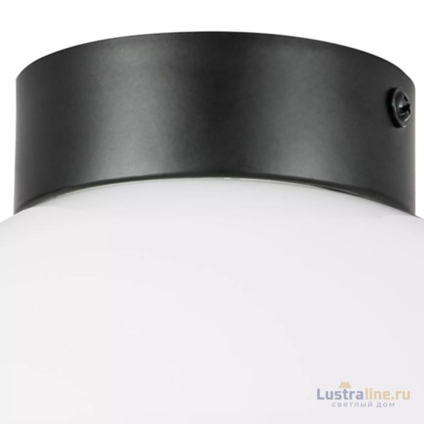 Потолочный светильник Lightstar Globo 812117