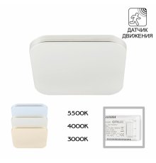 Потолочный светильник Citilux Симпла CL714K24SV