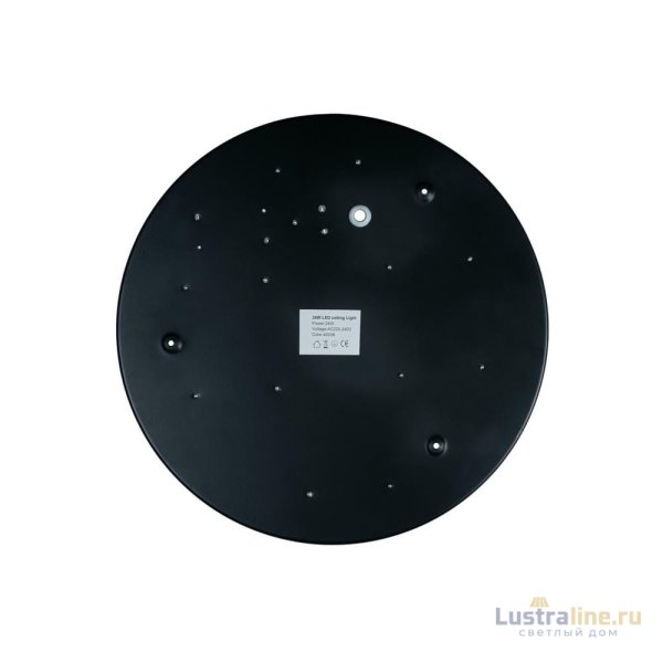 Потолочный светодиодный светильник Loft IT Axel 10002/24 black